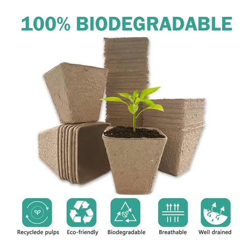 3.25 Inch Seed Starter Pots Set Of 30 Eco Friendly Biodegradable Peat Pots with a seedling in a home garden setup