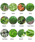 Top Notch Precision Garden Seeder And Row Planter For Walk Behind Spreading Seed In Terraces And Slopes Garden Corn And Soybean Seeder Lawn And Garden Spreaders Durable Metal Frame With Rustproof Hopper seed planting options including radish, greens, carrot, celery, and more