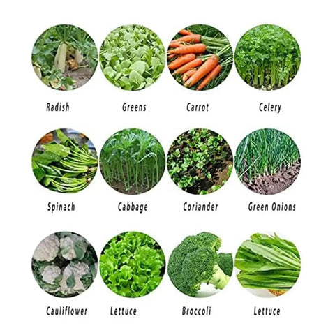 Top Notch Precision Garden Seeder And Row Planter For Walk Behind Spreading Seed In Terraces And Slopes Garden Corn And Soybean Seeder Lawn And Garden Spreaders Durable Metal Frame With Rustproof Hopper seed planting options including radish, greens, carrot, celery, and more