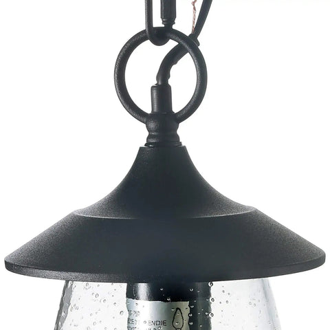 Close-up of Farmhouse Outdoor Pendant Lights With Painted Black Metal And Clear Bubbled Glass Globes Durable Hanging Lantern