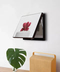 Beefed Up Heavy Duty Cabinet Hinge with Hydraulic Gas Spring Lift Assist on wall frame with cactus print