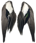 Complete Wood Duck Wings Pair Premium Number One Grade Wigeon Wings All Natural Scent No Chemicals Professionally Washed