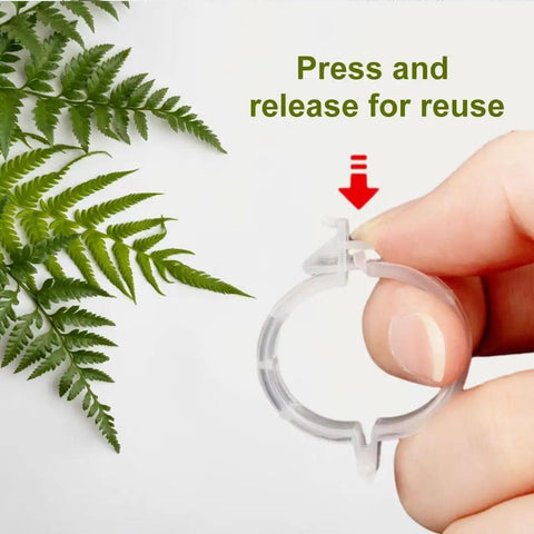 Reusable Plant Support Clips For Garden And Trellis Easy Clamp Plastic Clips For Tomato Stems Flowers Vines 50 Pack Clear Clip