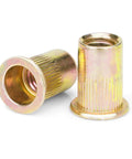 Two zinc-plated M5 rivet nuts (Rivnut) with flat flange and knurled body; threaded interior.
