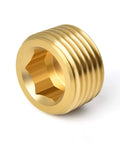 Single brass pipe plug from 25-piece set, showing internal hex thread, heavy duty for plumbing projects, close-up view.