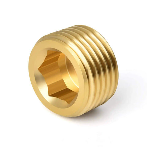 Single brass pipe plug from 25-piece set, showing internal hex thread, heavy duty for plumbing projects, close-up view.