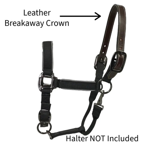 Draft Horse Halter Crown Strap Replacement Fits Draft Sized Halters 1 Inch Wide 28 Inch Long Double Layer Dark Brown Leather