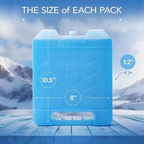 Reusable Ice Packs for Cooler With Handle, 2 Pack, Extra Large Size showing 10.5 x 8 x 1.2 inches against mountain backdrop
