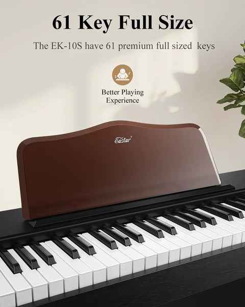 61 Key Starter Keyboard Piano With Classic Wooden Frame Electric Digital Piano Sustain Pedal Music Stand USB MP3 support