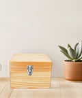 Wooden box with Duckbilled Toggle Latches Set For Jewelry Boxes, Tool Chests, And Decorative Displays Retro Vintage Inspired Silver Iron.