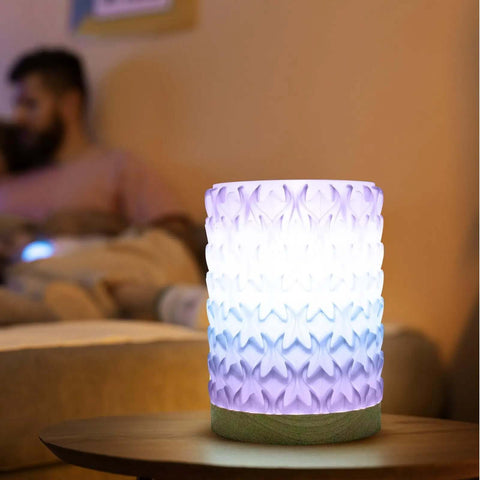 Gradient translucent blue to purple 3D printed lamp using PetG Filament 1.75mm, ideal for home decor and artistic displays.