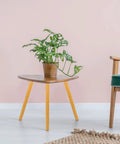 Replacement Wooden Table Legs With Stainless Steel Hardware shown installed on small table with plant on top.