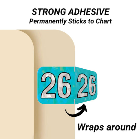 Holographic Aqua 2026 Year Labels For End Tab File Folders With Heavy Duty Adhesive USA Made Chart Stickers shown applied wrapping around folder edge.