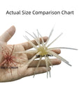 Actual Size Comparison of Bass Fishing Soft Plastic Lures With Fuzzy Dice And Sea Urchin Style Finesse Bait For Freshwater Anglers
