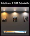 Smart Recessed LED Can Lights Five To Six Inch With Baffle Trim, 13W 1100LM RGBWW Color Changing 2700K To 6500K lighting artworks