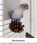 10 Pack Real Pine Cone Bird Chew Toys With Sturdy Mounting Nuts For Parakeets Cockatiels And Budgies perched in a birdcage.