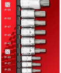 Torx Plus 13-Piece Bit Socket Set with 6 Lobe TP-8 IP-8 Through TP-60 IP-60, S2 Steel Bits, CrV Sockets on display card