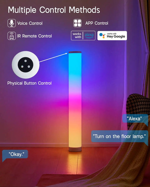 Lit RGBIC Color Changing Floor Lamp 2 Pack With WiFi App And Remote showing controls and voice command options in living room.