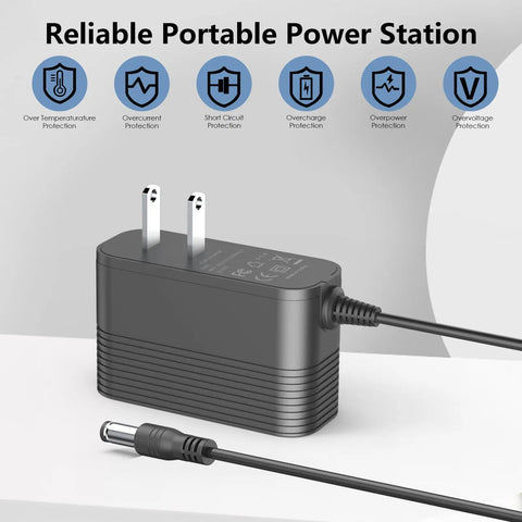 10V Replacement Charger For Pet Stain Eraser Cordless Vacuum Models 2837 2842 2846 2877 Power Cord AC DC Adapter