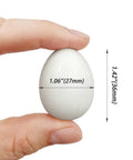 10 Pack Realistic Solid Plastic Pigeon Eggs Lookalikes For Racing Pigeons Training And Hatching Supplies Non Toxic Odorless Safe Size