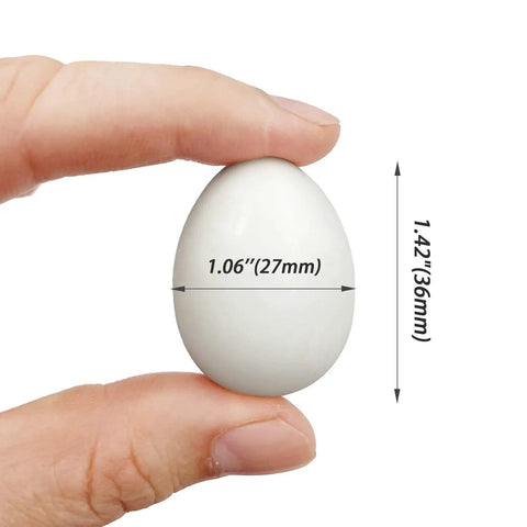 10 Pack Realistic Solid Plastic Pigeon Eggs Lookalikes For Racing Pigeons Training And Hatching Supplies Non Toxic Odorless Safe Size
