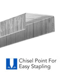 Dang Tough Standard Size Staples With Razor Sharp Chisel Points For Quick Paper Piercing and Dependable Daily Office Tasks close-up image of staples.