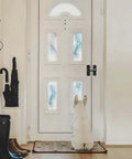 Dog sitting in front of a closed white door with frosted glass panels in a well-lit hallway.