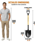 Detailed dimensions of All In One 41 Inch Round Point Shovel With D Handle And Cold Rolled Steel Blade, standing next to a man for scale.