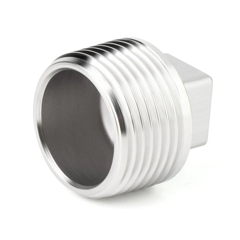Two Pack Outer Square Thread Socket Pipe Plug Fitting 2 Inch NPT Male 304 Stainless Steel Corrosion Resistant Industrial Grade Plumbing Connector