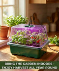 All In One Seed Starter Kit With Grow Light, Easy Setup And Elevated Seedling Tray on windowsill in kitchen with plants