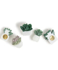 Succulent Push Pins Set for Bulletin Boards with Three Assorted Styles, cute office decor featuring green and purple leaves
