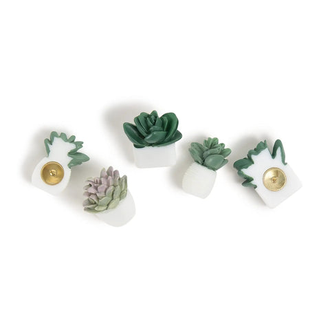 Succulent Push Pins Set for Bulletin Boards with Three Assorted Styles, cute office decor featuring green and purple leaves