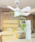 Easy Peasy 19 Inch Screw In Ceiling Fan Light Kit With Remote Control Dimmable Led Bulb And Sleek Five Blade Design showing fan and remote with features.