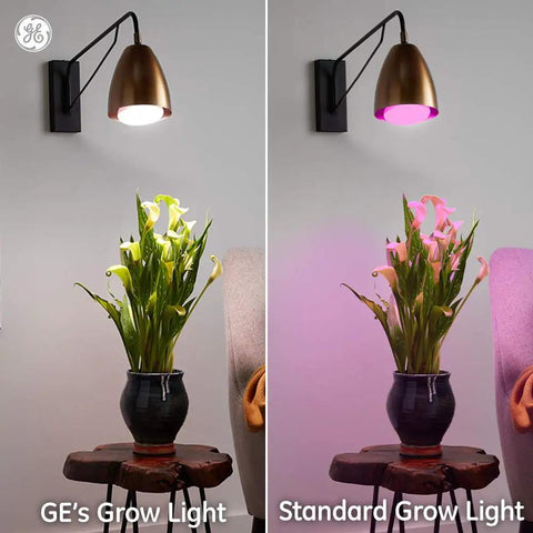 Comparison of Advanced Red BR30 LED Grow Light For Indoor Plants Full Spectrum Growth And Bloom Year Round Home Garden Lighting