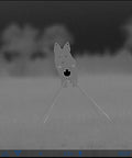 AR500 Steel Target Front View Coyote Target with Stand for Thermal Scopes and Zeroing, 3/8 inch shooting practice target