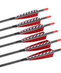 Six pure carbon arrows 600 spine 30 inch shaft with 31.5 inch overall length beefed up turkey feather fletching on white background.