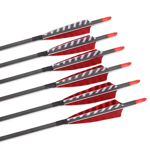 Six Pack 30 Inch Carbon Arrows For Compound Recurve And Traditional Bows With 100 Grain Screw Tips 4 Inch Turkey Feathers Spine 700