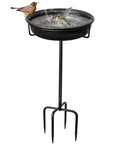 Freestanding Outdoor Bird Bath And Feeder Bowl With Metal Stake For Garden Patio Yard Lawn Four Spiky Feet All In One Detachable Decoration Easy To Set Up Holds Water For Birds And Hummingbirds with birds bathing
