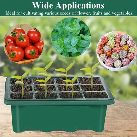 Seed Starter Tray 3 Pack With Grow Light For Indoor Seed Starting in use, showing seedlings, surrounded by images of plants and vegetables.
