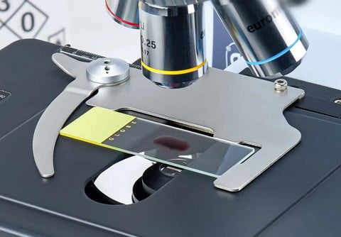 Glass Microscope Slide 25 X 75mm With Ground Edges And Safety Corners Yellow Frosted Label End 1.1mm Thick Soda-Lime Glass Washed Rinsed Dried Ready For Immediate Use Case Of 1,440 on microscope stage