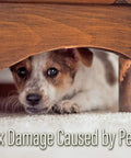 Premium Brown Wood Scratch Repair Pen For Light Furniture And Hardwood Floors Quick Fix Stain to fix pet damage on wood.