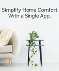 Smart Thermostat T5 Black ENERGY STAR Certified Cut Bills With Easy Temperature Control on wall beside modern sofa and plant