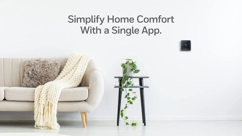 Smart Thermostat T5 Black ENERGY STAR Certified Cut Bills With Easy Temperature Control on wall beside modern sofa and plant