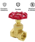 Brass 3/4 inch gate valve with red wheel handle and DN20 female threaded connection, front view
