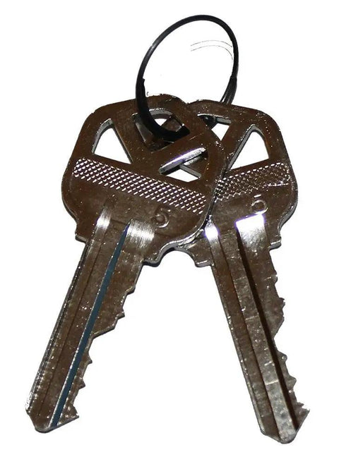 Five Pin Rekeying Key Blanks Pack KW1 Forty Nickel Plated Keys Twenty Pairs Per Package Factory Original Cut Keys For Home Locks