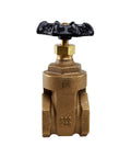 Gate valve with wheel handle, front view, brass heavy-duty, 2 in FIP connections, lead-free, Amazon.
