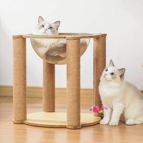 Cats enjoying a scratching post with 5Mm Jute Rope 98 Feet Heavy Duty Natural Twine For Crafts DIY Projects Garden Bundling Hanging Cat Scratching Posts And Plant Support