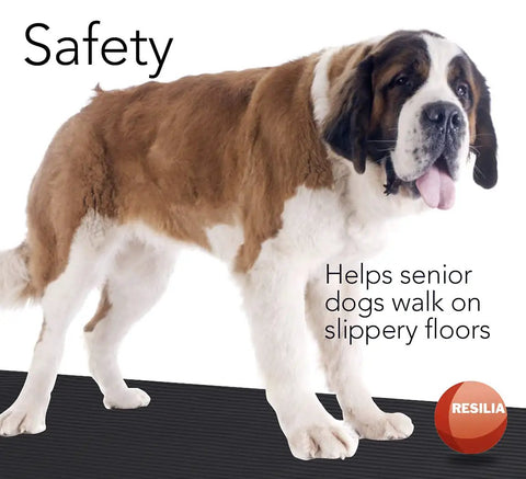 Large brown and white dog standing on a black embossed ribbed mat for safety on slippery floors, text indicates product benefit.