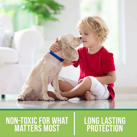 Child with dog highlighting Pro Grade Grout Sealer With Odorless Zero VOC Breathe Easy Stain Block Tech For Grout Marble Ceramic Mosaic Stone