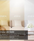 Smart LED Bulbs With 16 Million Colors RGBW Dimmable That Work With Alexa And Google Home No Hub Needed A19 60W Equivalent 800 Lumens CRI Over 90 2.4GHz WiFi Four Pack L530E displaying color temperature range from 2500K to 6500K in a room setting.